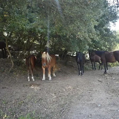 A La Ferme Avec Jacuzzi Et Sauna