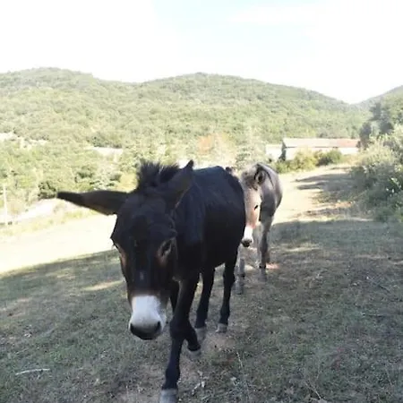 펜션 A La Ferme Avec Jacuzzi Et Sauna *